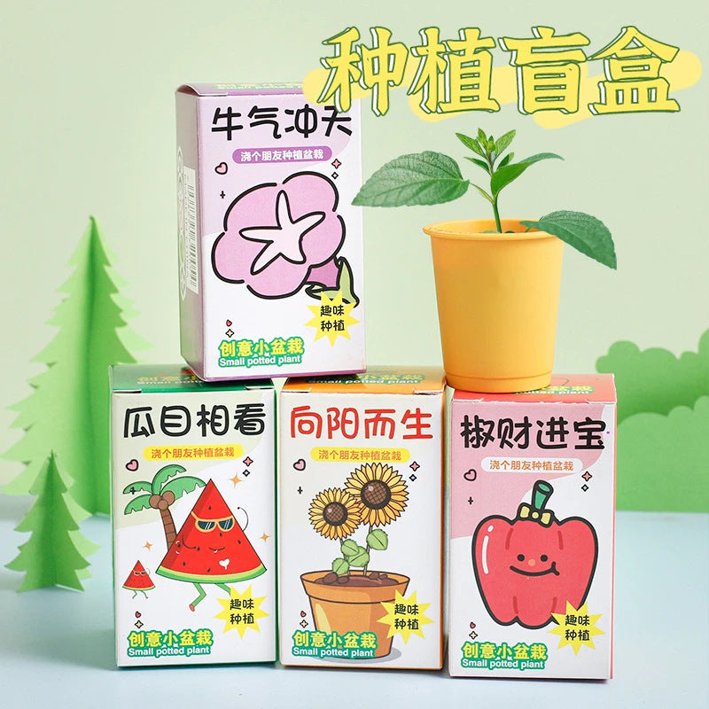 Cartoon Planting Blind Box Potted Office Indoor Flower Seed Flower Grower Plant Growth Observation Diy Experiment Gift